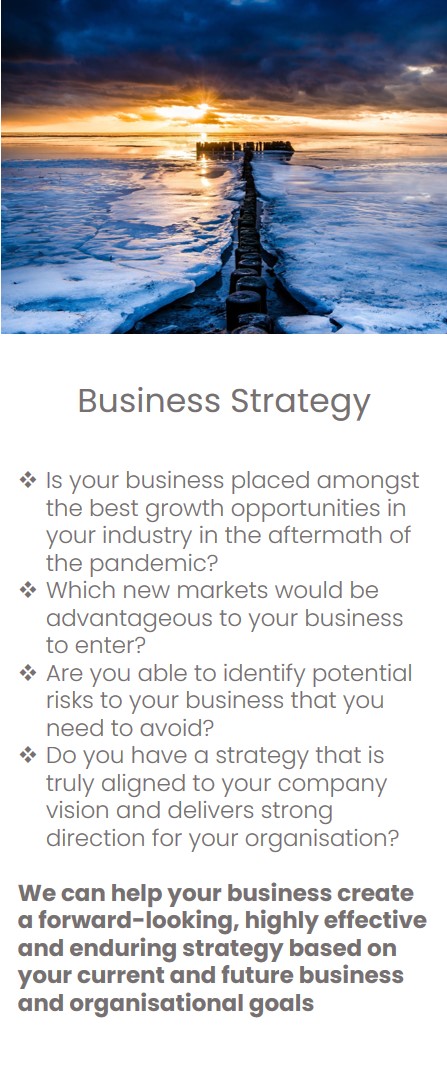 Business Strategy Eupnea Management Consulting Services