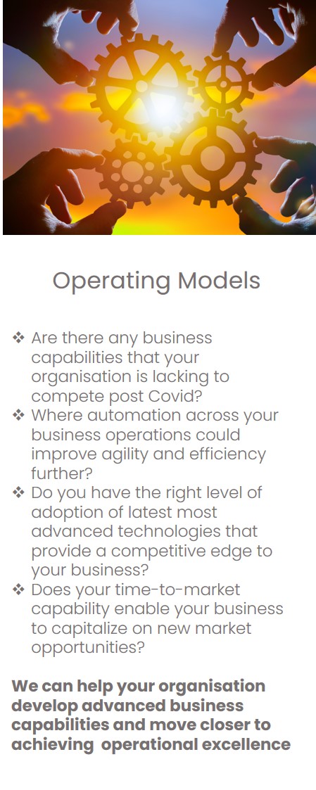 Operating Models Eupnea Management Consulting Services