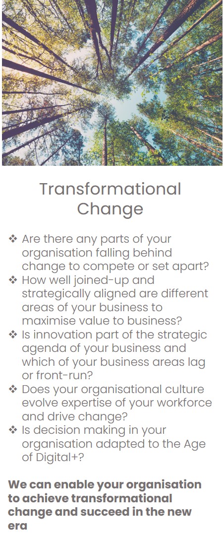 Transformational Change Eupnea Management Consulting Services